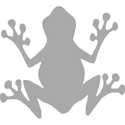 Reflexný motív - žaba