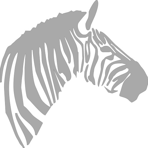 Reflexný motív - zebra