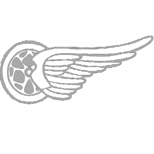 Reflexný motív - koleso s krídlom